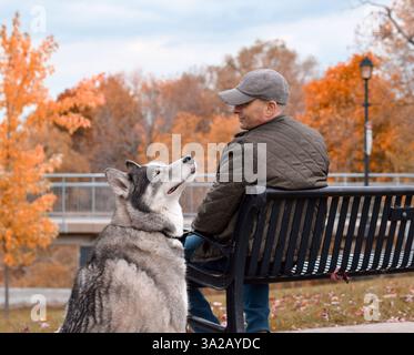 Man sitting on a bench with husky dog in a park Stock Photo