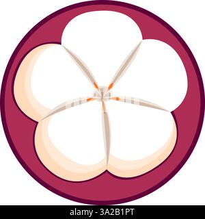 Mangosteen slice botanical vector illustration in flat technique Stock Vector