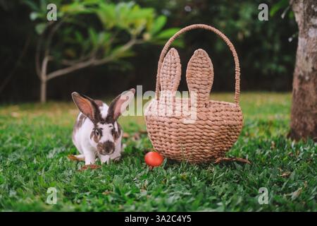 A bunny sits on an lawn next to a wicker basket with rabbit ears and painted egg Stock Photo
