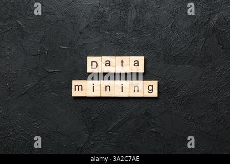 Data mining word written on wood block. Data mining text on cement table for your desing, concept. Stock Photo