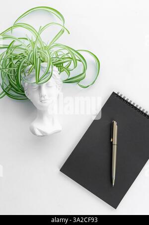 Minimalistic composition featuring a green spider plant in a white artistic pot, paired with a black notebook and pen on a clean white surface. Stock Photo