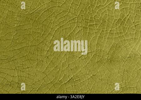 Green olive cracked leather texture with deep creases and aged appearance. Rustic and organic background for vintage, fashion, decorative projects Stock Photo