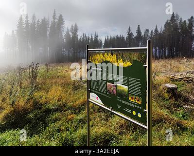 Information sign at clear-cut area in the Idarwald forest, Germany, Rhineland-Palatinate, Hunsrueck, Weitersbach Stock Photo