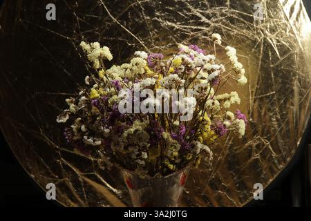 Bouquet of dry flowers Stock Photo