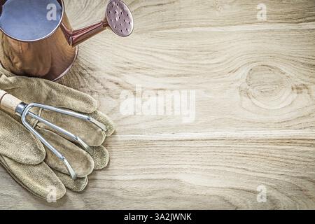 Watering can metal rake gardening gloves on wood board copy space agriculture concept Stock Photo