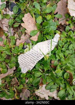Pieces of pages of a book left on the ground in the grass and leaves. Stock Photo