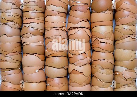 Stack of broken egg shells. Stock Photo