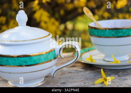 close up of a sugar bowl and a cup from a vintage tea set, in the background a blurred plant with yellow flowers Stock Photo