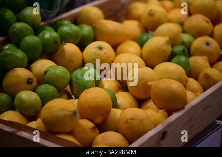 Kristianstad, Skåne, Sweden. March 13 2025. Inside the grocery store City Gross. Lemons and limes. Stock Photo