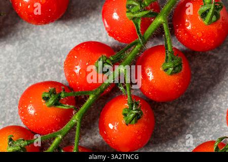 Organic Raw Red Cherry Tomatoes on the Vine Stock Photo
