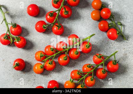 Organic Raw Red Cherry Tomatoes on the Vine Stock Photo