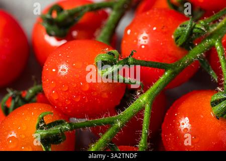 Organic Raw Red Cherry Tomatoes on the Vine Stock Photo