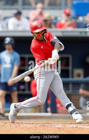 Vivid Nasim Nuñez Baseball Update Moment for Mobile Vivid Nasim Nuñez Baseball Update Moment for Mobile