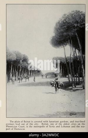 The plain of Beirut is covered with luxuriant gardens, and tree-lined avenues lead out of the city. Beirut, one of the oldest cities on the Phoenician Coast, is the metropolis of Syria and Lebanon and the seaport of Damascus from ' The Holy Land and Syria ' by Carpenter, Frank G. (Frank George), 1855-1924 Published Garden City, N. Y., Doubleday, Page & company 1922 Stock Photo