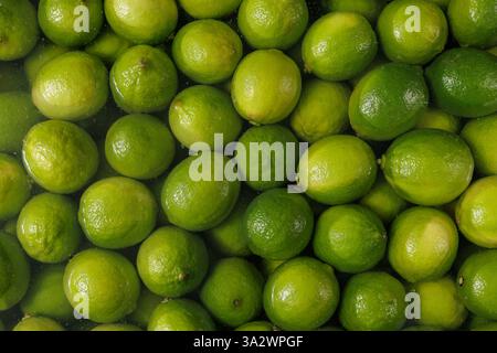 Fresh green limes submerged in water, vibrant citrus background, organic tropical fruit, refreshing and juicy texture. Stock Photo