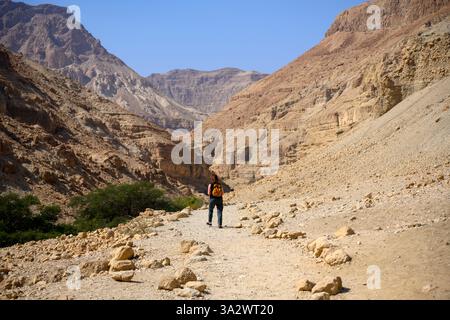 Hiking in Wadi Arugot Ein Gedi national park, Dead Sea. Israel Stock Photo