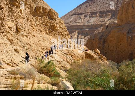 Hiking in Wadi Arugot Ein Gedi national park, Dead Sea. Israel Stock Photo