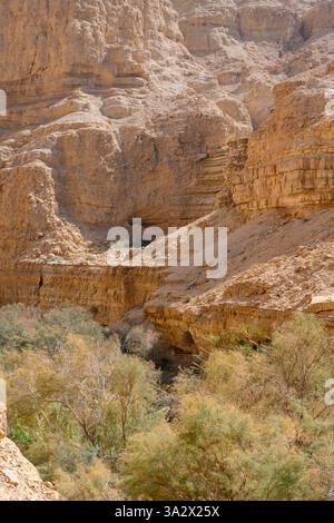 Hiking in Wadi Arugot Ein Gedi national park, Dead Sea. Israel Stock Photo