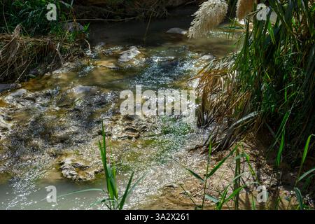 Hiking in Wadi Arugot Ein Gedi national park, Dead Sea. Israel Stock Photo