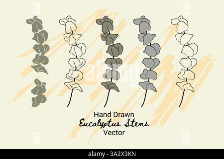 Eucalyptus cinerea botany organic hand drawn vector design elements collection Stock Vector