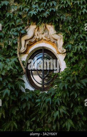 Round iron-barred window framed by ivy-covered ornate architecture Stock Photo