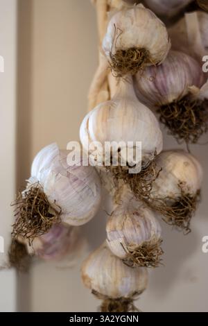 Close-up of garlic bulbs braided together and hanging on the wall. Stock Photo