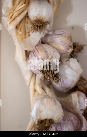 Close-up of garlic heads braided together and hanging on wall. Stock Photo