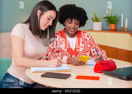 two multicultural smiling young women students studying together at a desk  Stock Photo