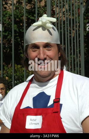 LOS ANGELES - NOV 3: Peter Stormare at the