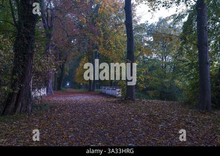 Alley in the castle park in autumn in front of sunrise, Trebsen Castle Park, Saxony, Germany, Europe Stock Photo