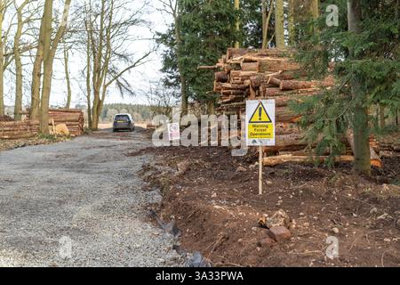 Forest operations sign in bright yellow in front of felled trees stacked high in a forest. Stock Photo