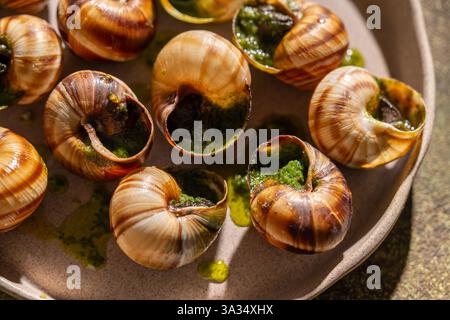 Close-up top view of baked escargot seasoned with butter and parsley, served in a ceramic dish. Stock Photo