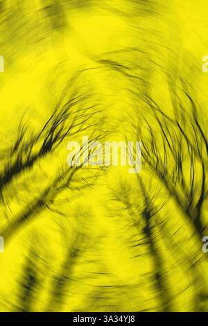 Blurred silhouettes of tree branches create an abstract, distorted effect against a bright yellow background, offering a surreal and dynamic visual ex Stock Photo