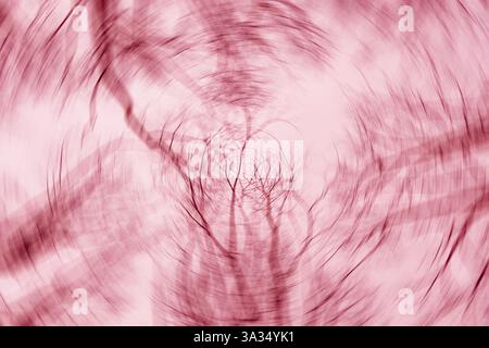 A mesmerizing abstract image with tree branches blurred into swirling patterns, creating a dynamic effect in warm pink and red tones. Perfect for crea Stock Photo