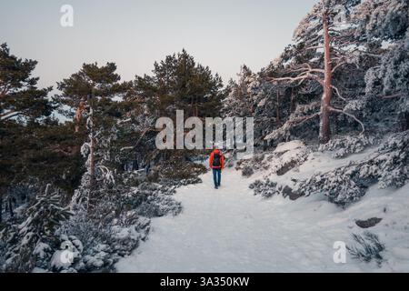A lone hiker walks through the snowy forest trails of Siete Picos in Guadarrama Mountains, Madrid. Snow-covered trees and a peaceful atmosphere surrou Stock Photo