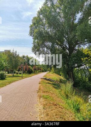 A brick path winds through a beautiful park with trees on both sides Stock Photo