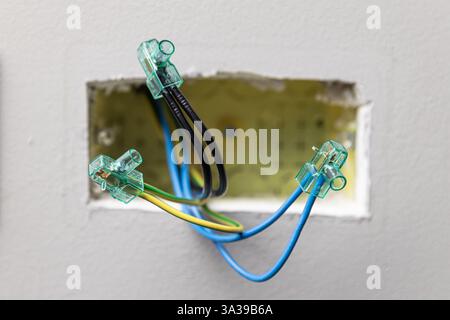 Close up electrical wires being connected using terminal block connectors Stock Photo