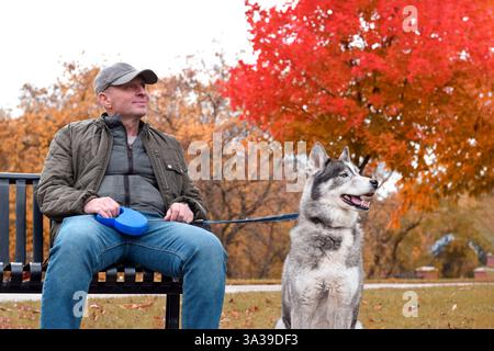 Portrait of man sitting on a bench with husky dog in a park Stock Photo