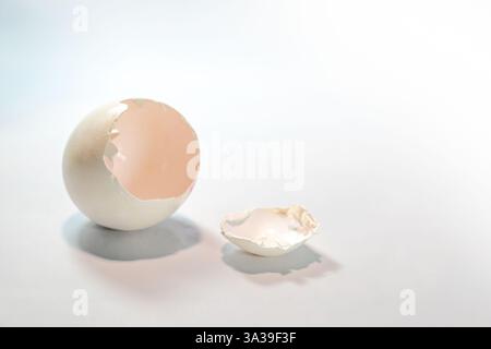 Broken white eggshell against a light gray background, empty Easter egg, copy space, selected focus, narrow depth of field Stock Photo