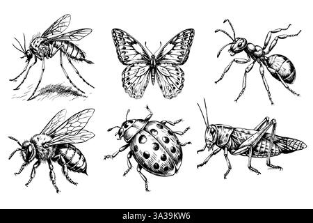 A black and white drawing of six insects Stock Vector