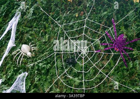 Outdoor Halloween decoration of spiders and white spider webs hanging from a bush Stock Photo