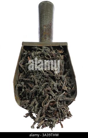 Ceylon Black Tea in a vintage metal scoop isolated on white background Stock Photo
