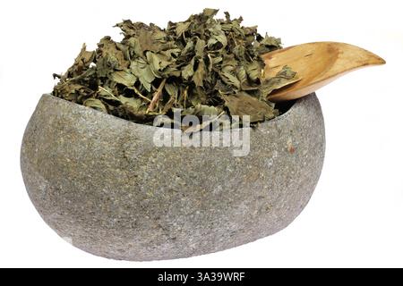peppermint tea leaves in a natural river stone bowl isolated on white background Stock Photo