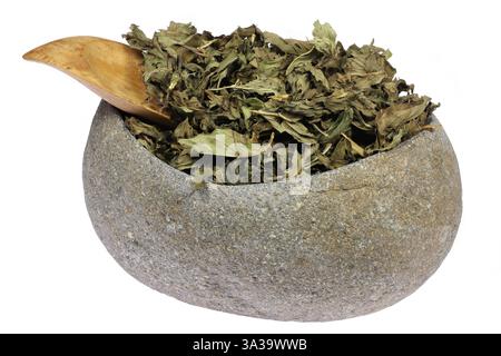 peppermint tea leaves in a natural river stone bowl isolated on white background Stock Photo
