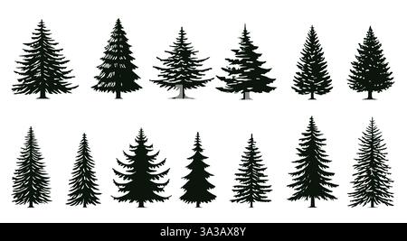 Silhouettes of various evergreen trees showcasing different shapes and styles in black. Stock Vector
