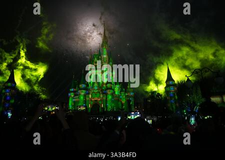 Magic Kingdom Fireworks Show 2 Stock Photo