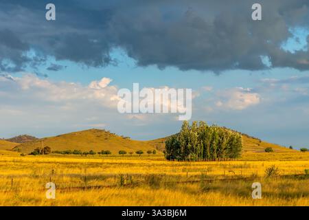 Picturesque rural landscape bathed in the late afternoon light on a summer's day in the Monaro Region, NSW, Australia Stock Photo