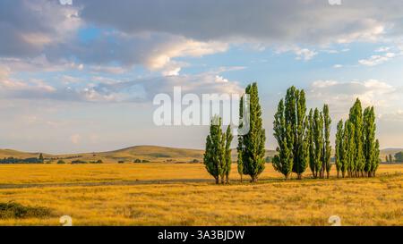 Picturesque rural landscape bathed in the late afternoon light on a summer's day in the Monaro Region, NSW, Australia Stock Photo