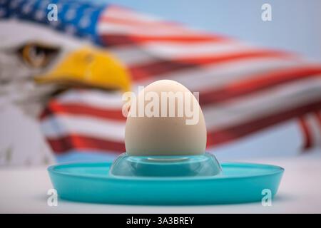 Eiermangel - Egg Lack Ei im Eierbecher, US-Amerikanische Falgge und Adler im Hintergrund - nur für redaktionelle Zwecke Egg in an egg cup, US-American falgge and eagle in the backgroundfor editorial purposes only *** Egg Lack Egg in an egg cup, US American falgge and eagle in the background for editorial purposes only Egg in an egg cup, US American falgge and eagle in the background for editorial purposes only Copyright: xBEAUTIFULxSPORTS/Märklx Stock Photo