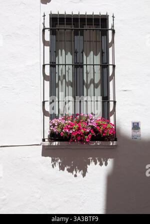 Window with flowers, Contest for the most beautiful window in Sitges for Corpus Christi feast, Garraf Coast, Barcelona, Spain Stock Photo